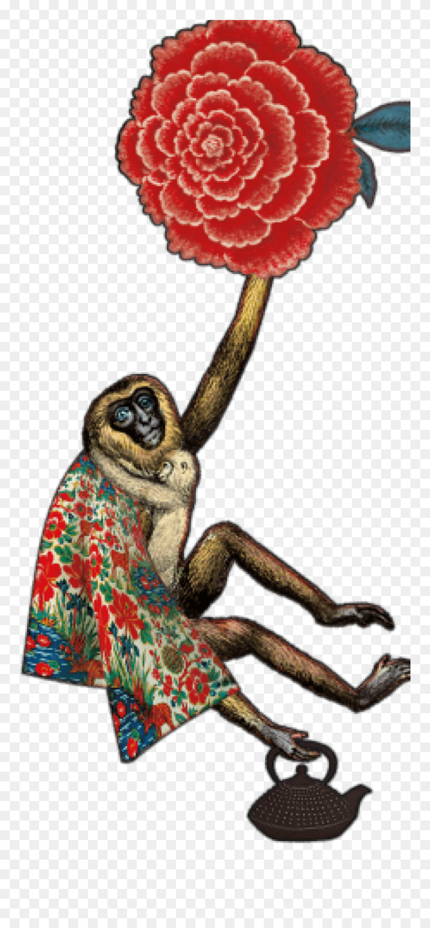 Chinese Peony Clipart