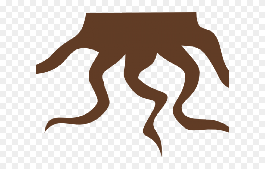 Roots Clipart Png Transparent Png