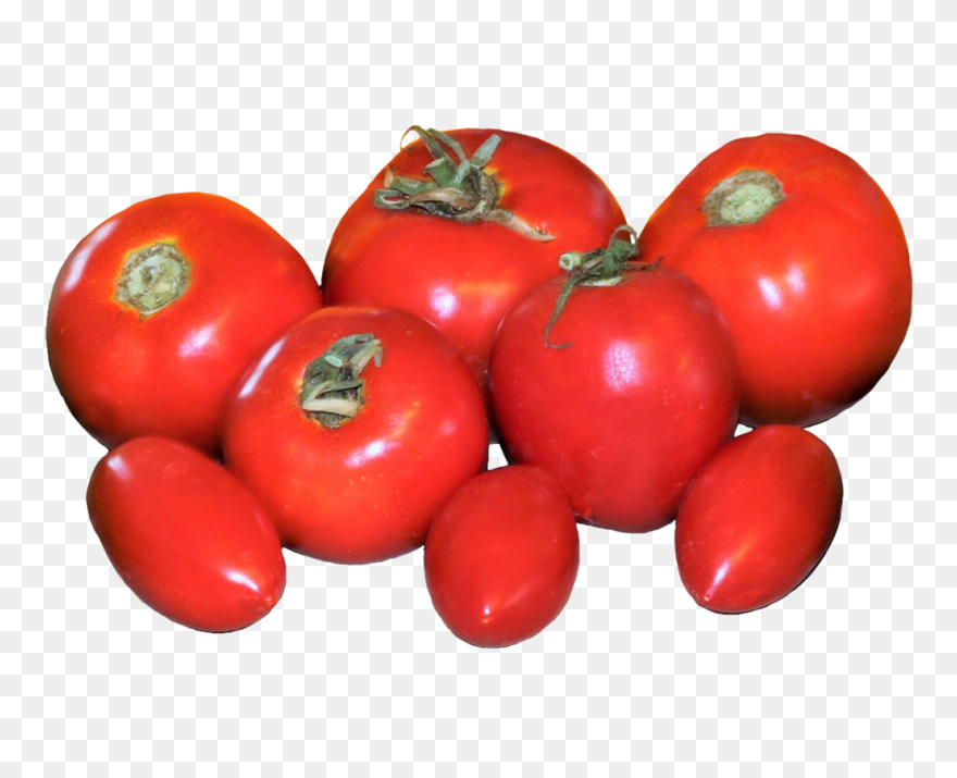 Fresh Tomatoes Clipart - Plum Tomato - Png Download
