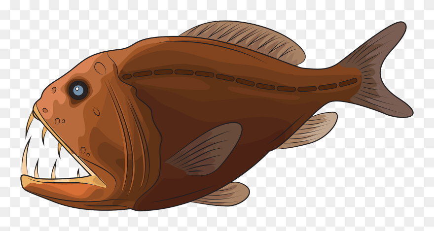 Anglerfish Clipart