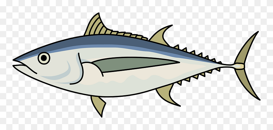 Albacore Fish Clipart - Tuna Fish Clipart - Png Download