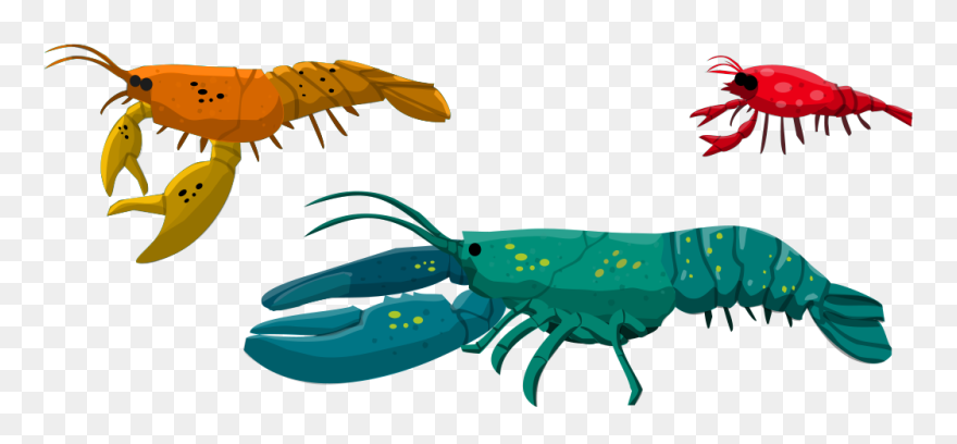 Image Description Clipart