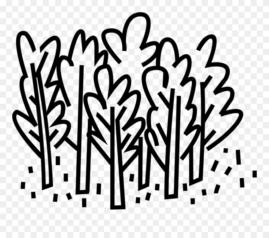 3 Vector Deciduous Forest - Deciduous Forest Easy Drawing Clipart