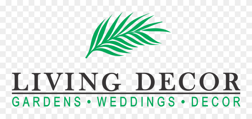 Jason Ng And Partners Clipart