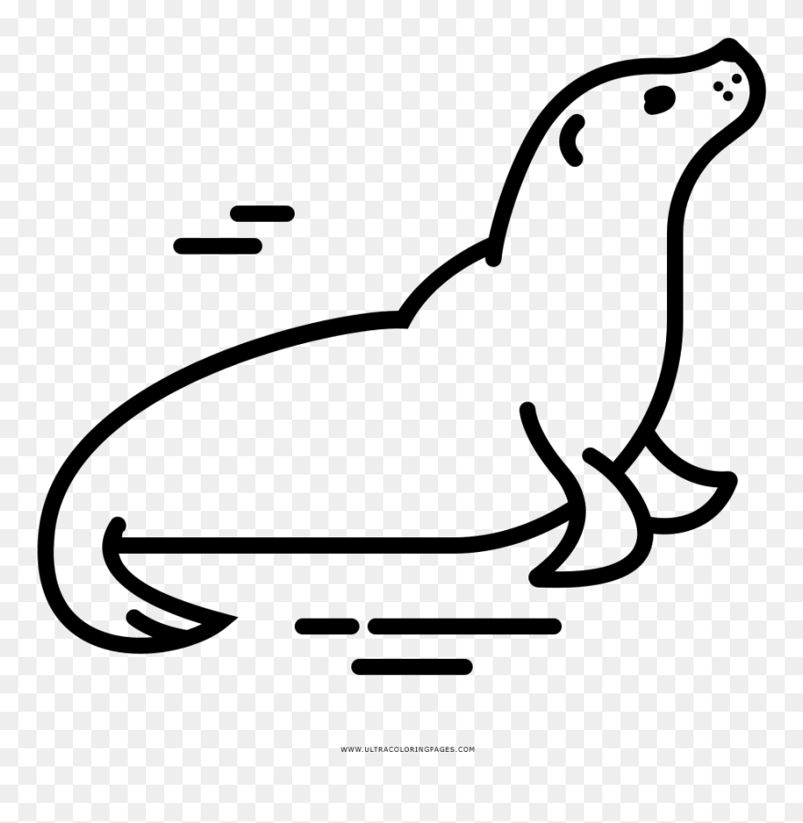 Drawing Seal Clipart - Seal Drawing Png Transparent Png