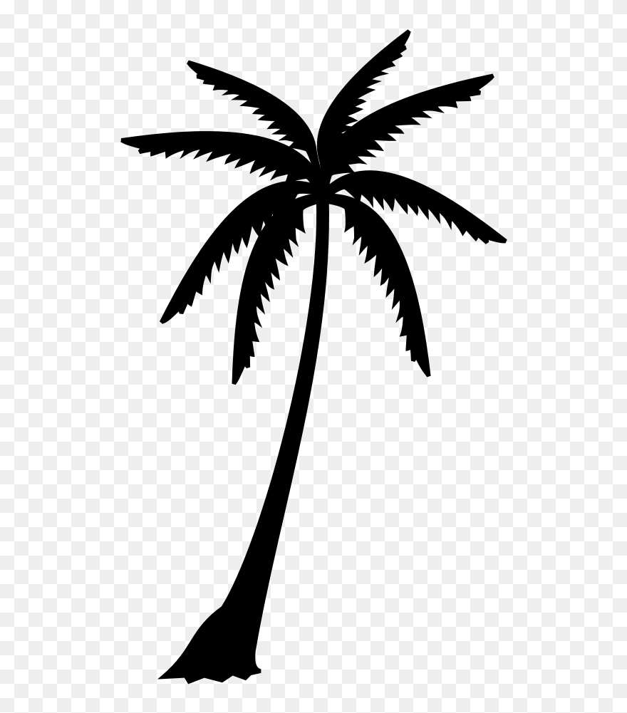 Palm Trees Black & White - Black And White Images Of Palm Trees Clipart