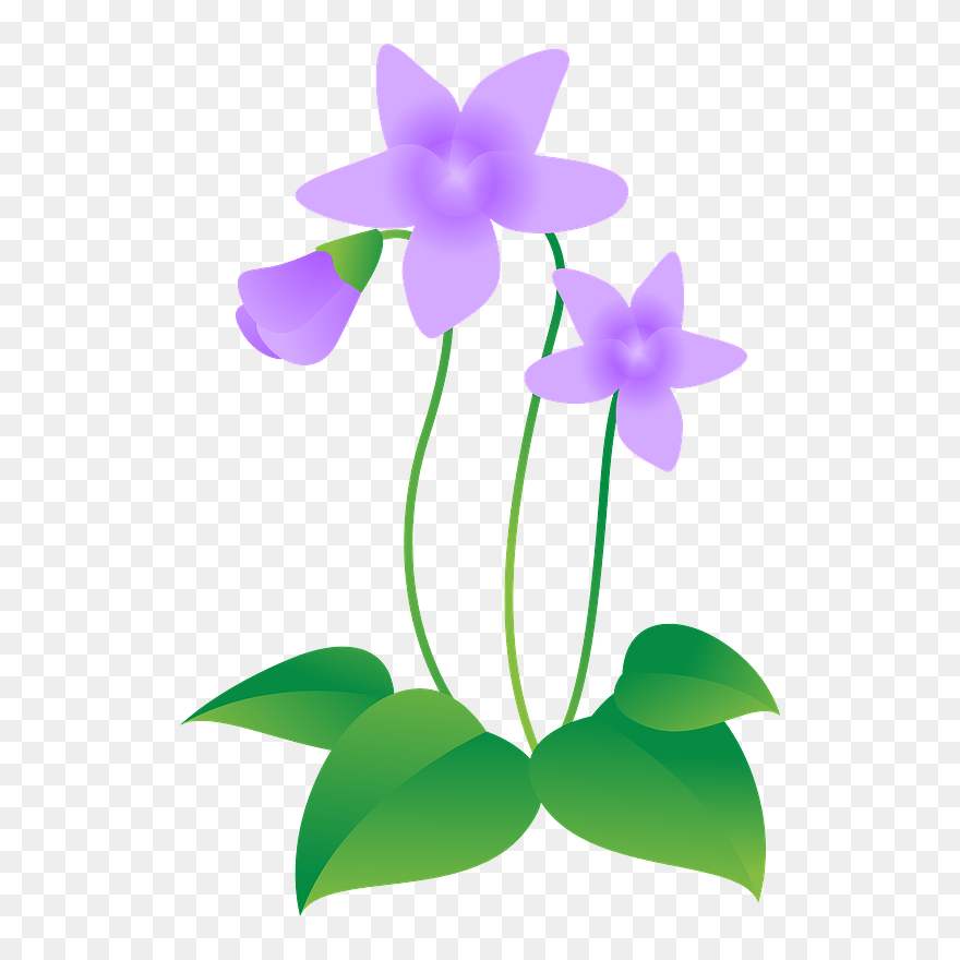 Violet Flower Clipart - すみれ 花 イラスト フリー - Png Download