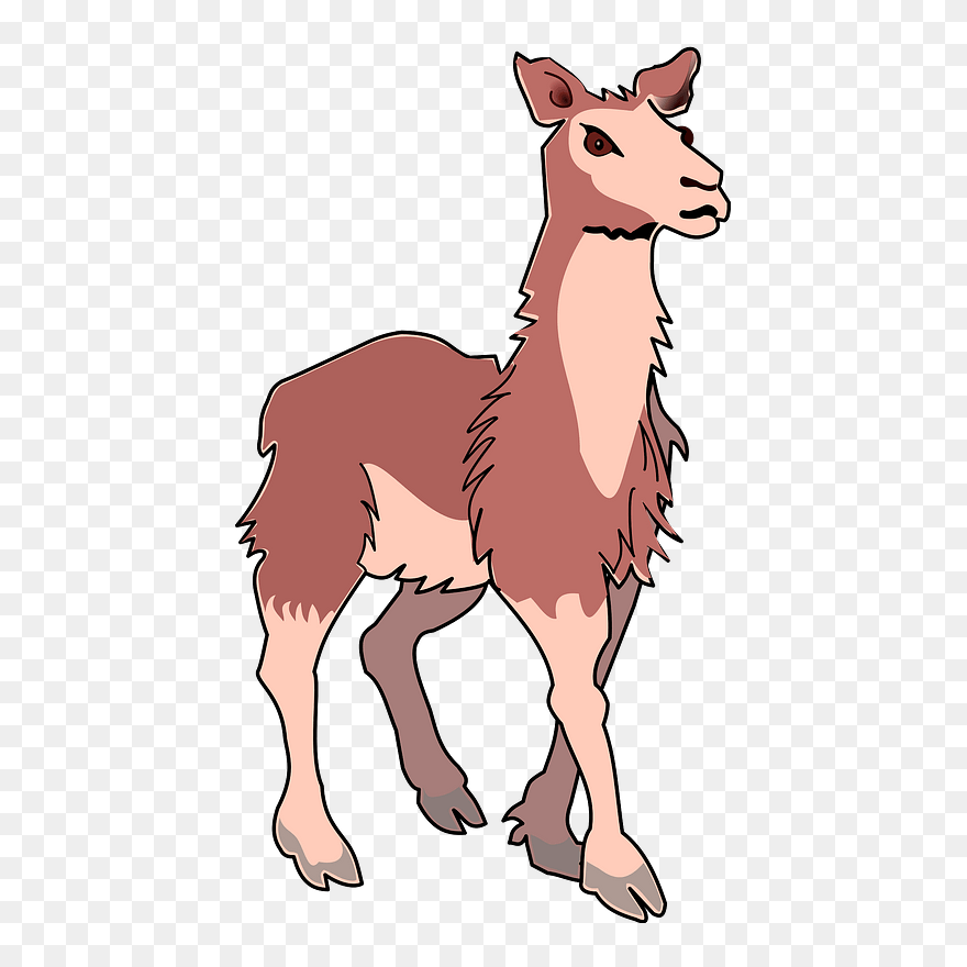 Llama Clipart - Llama - Png Download