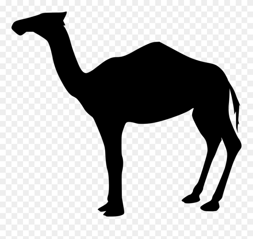 Line Art,wildlife,silhouette - Camel Silhouettes Png Clipart