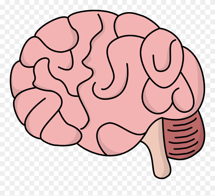 Thumb Image - Brain Clipart - Png Download