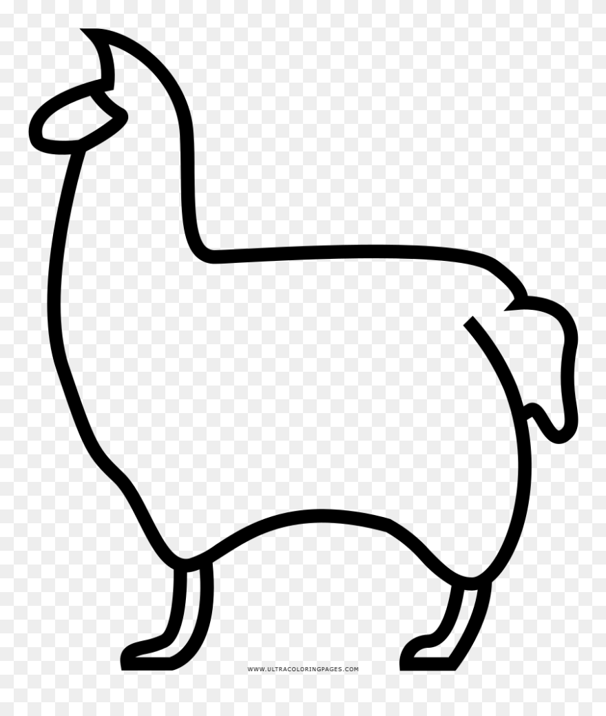 Llama Coloring Page - Coloring Book Clipart