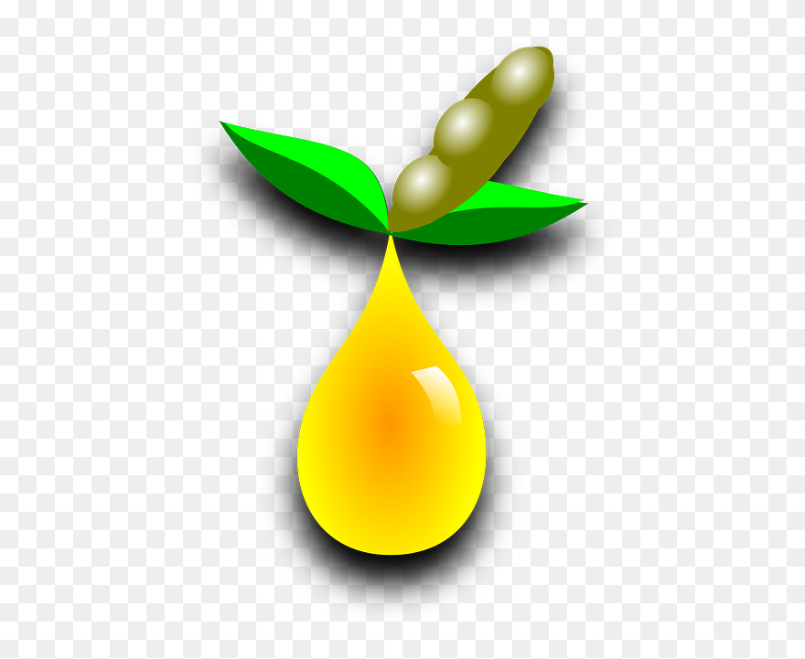 Free Photo Agriculture Soy - Biofuel Plants Transparent Clipart
