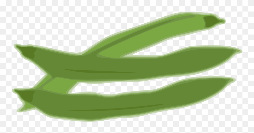 Collection Of Free Bean Clipart Green Veg Bean Clipart - Clip Art - Png Download