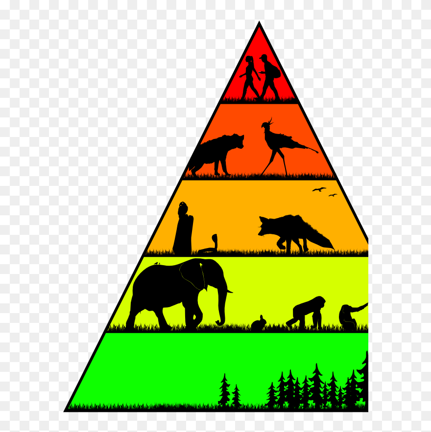 Food Chains In The Wild For Worldbuilding Magazine - Food Clipart