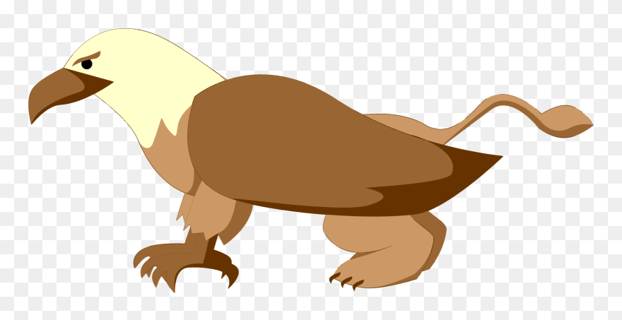 Vulture,flightless Bird,wildlife - Griffin Clipart - Png Download