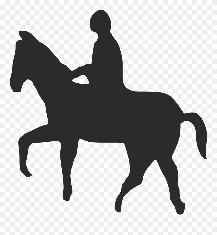 Horse Equestrian English Riding Equine Therapy Rein - Guy Riding Horse Transparent Clipart
