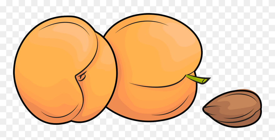 Apricots And An Apricot Kernel Clipart - Apricot Clipart - Png Download