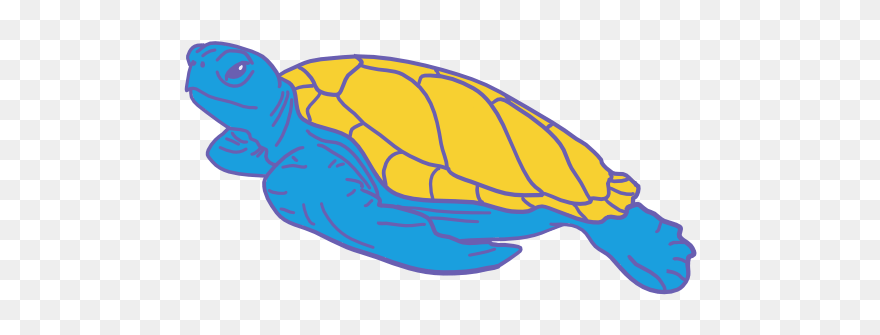 Turtle Bay - Sea Turtle Clipart