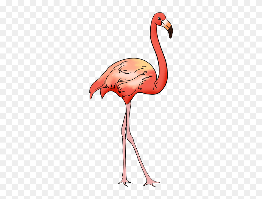 How To Draw Flamingo - Draw Flamingo Clipart