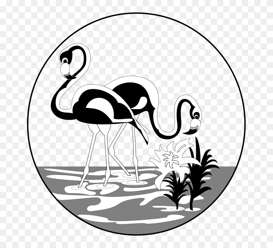 Flamingo Clipart Face - Flamencos Dibujos - Png Download