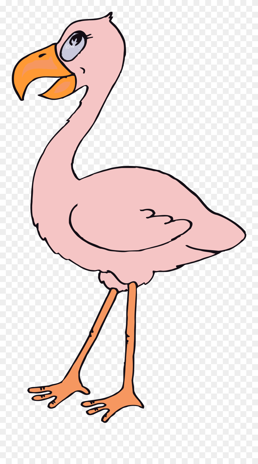 Flamingo Clipart Png Transparent Png