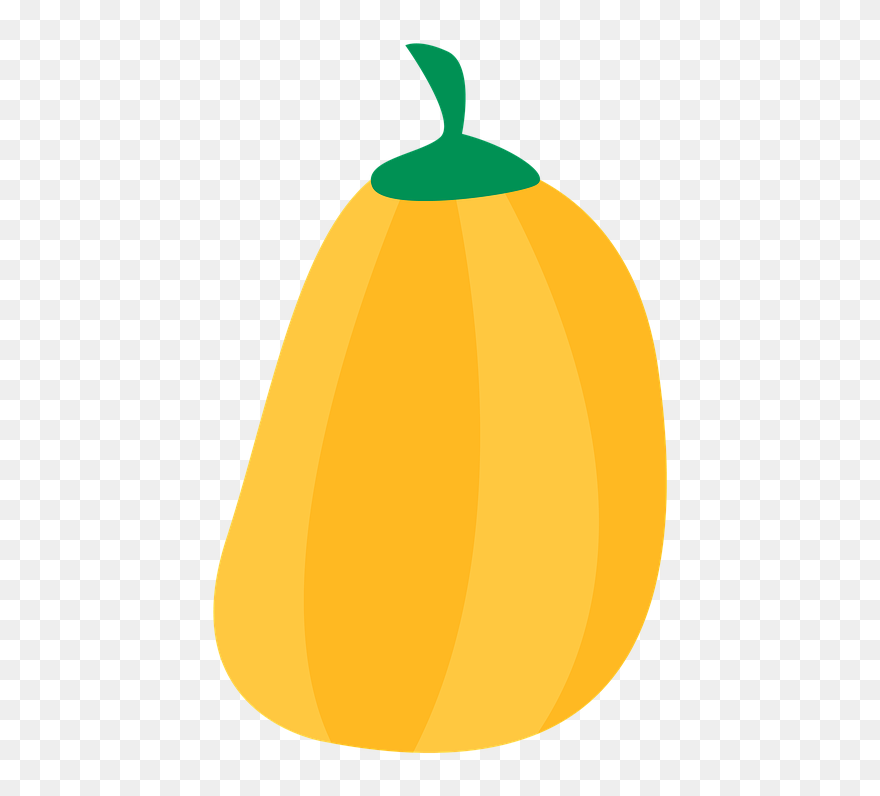 Zucchini Clipart