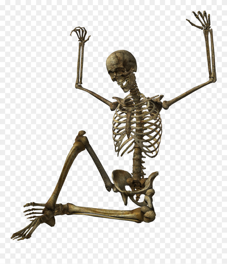 Skeleton Png Transparent Skeleton Images Pluspng - Skeleton Png Clipart
