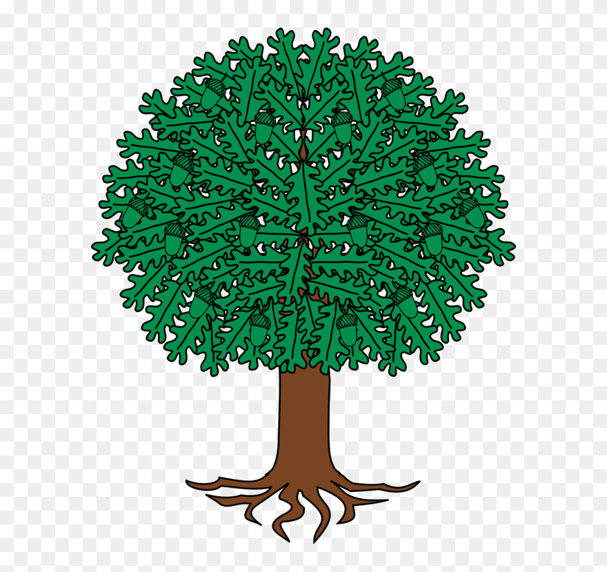 Plant,leaf,tree - Coat Of Arms Oak Tree Clipart