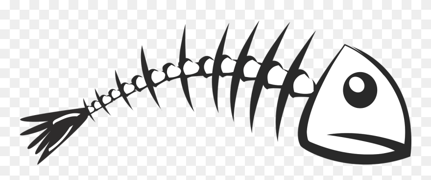 Skeleton Fish Fish Bone Free Photo - Fish Bone Png Clipart