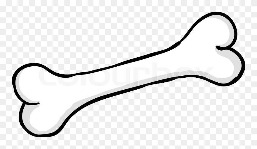 Bone Png - Png Bone Clipart