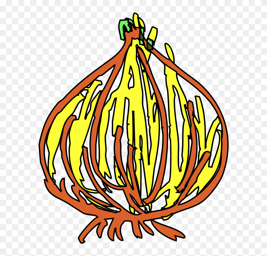 Onion-1574687335 - Onion Clipart