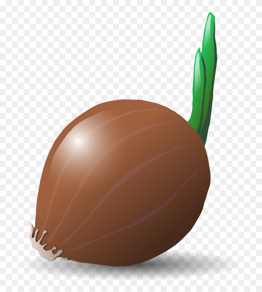 Onion Svg Clip Arts - Vegetable Clip Art - Png Download