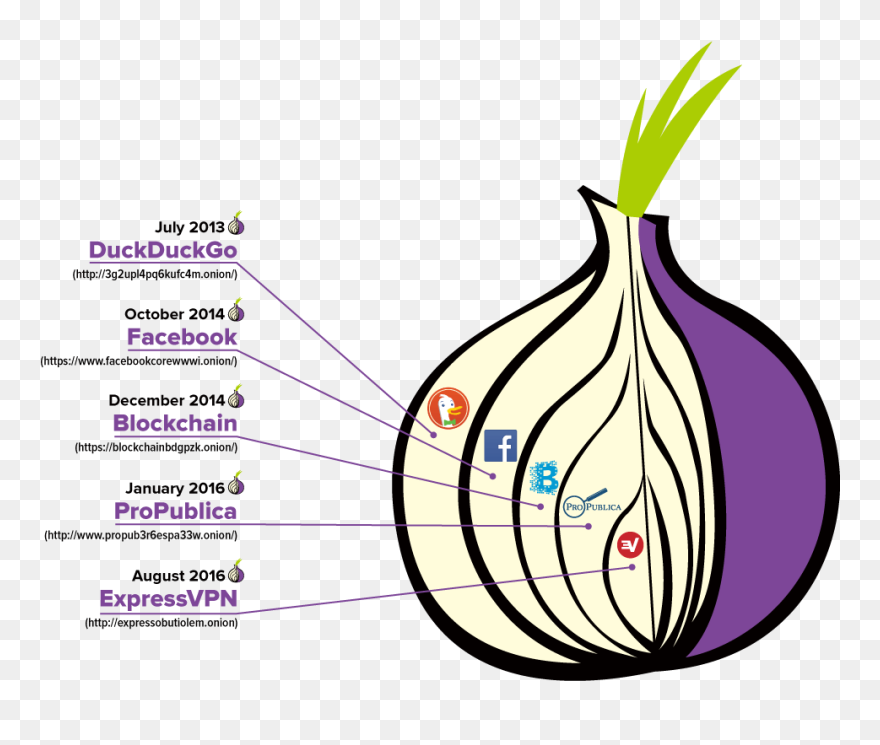 Expressvpn Dark Web - Onion Tor Clipart