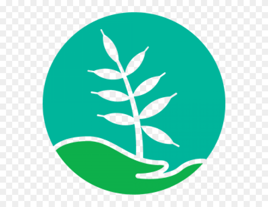 Disco De Corte Para Madeira 22mm Clipart