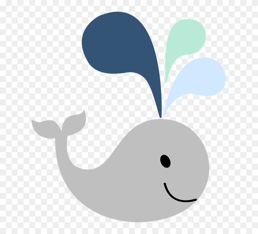 Transparent Water Spray Png - Gray Whale Cartoon Png Clipart