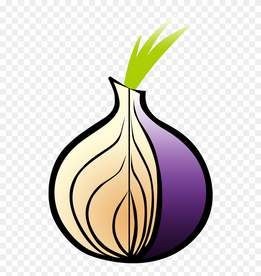 Tor Onion Clipart
