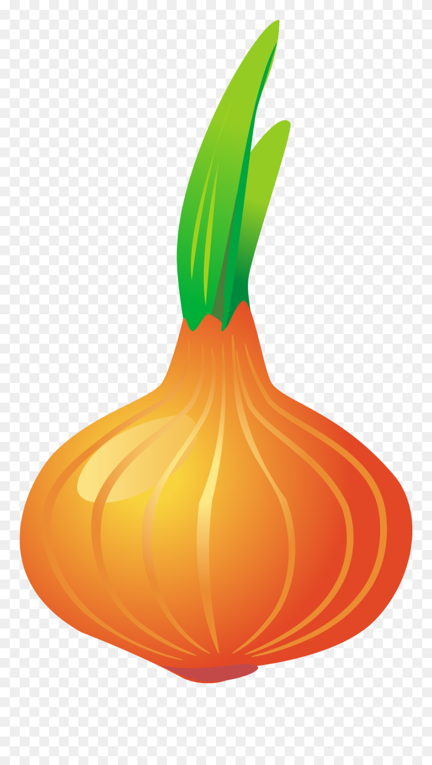 Onion Clipart