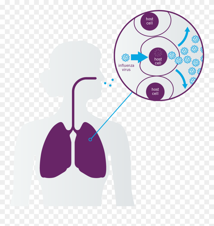 Flu Clip Art - Png Download