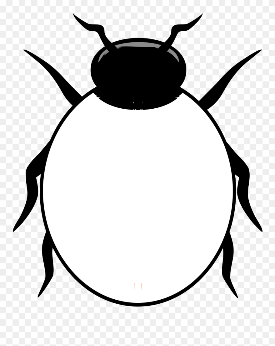 Basic Ladybug Art Svg Clip Arts - Ladybird Clipart Black And White - Png Download