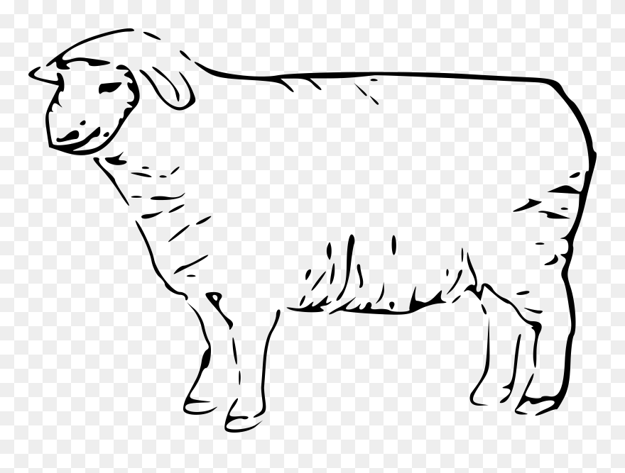 Delaware Fightin Blue Hens - Sheep Clip Art - Png Download