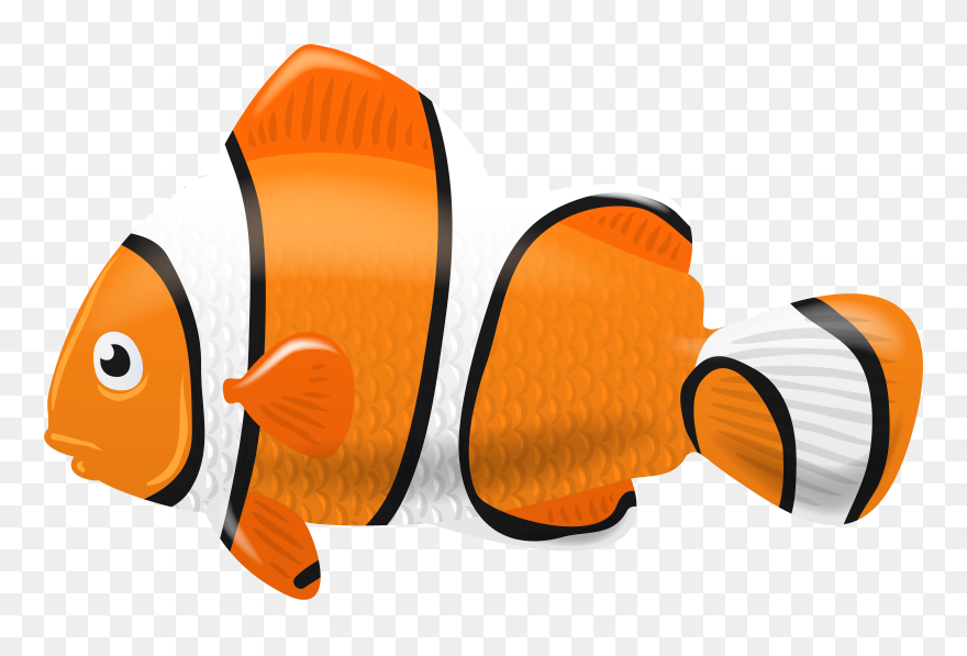 Clownfish Computer Icons Clip Art - Clown Fish Picture Transparent Background - Png Download