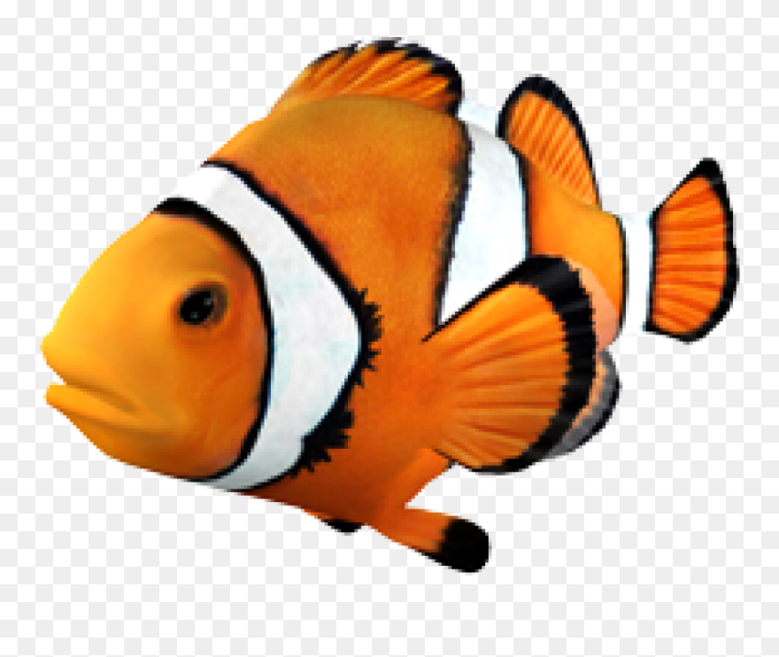 Goldfish Clownfish Angelfish Tropical Fish - Clown Fish Clipart Transparent Background - Png Download