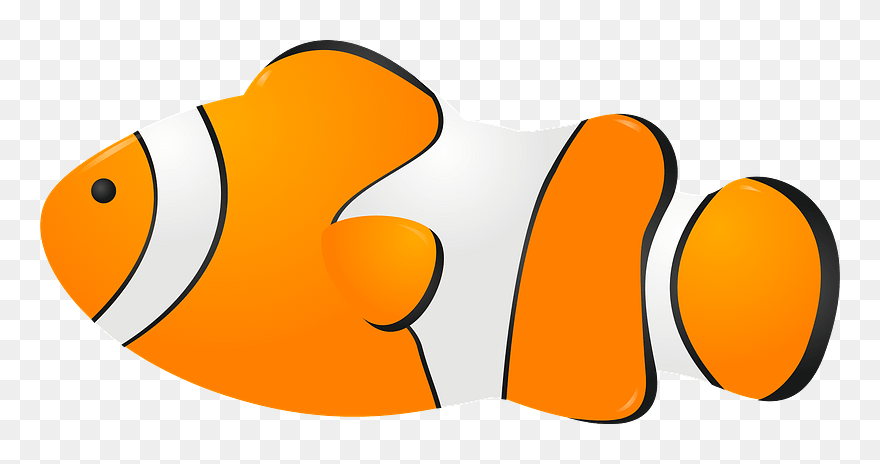 Ocellaris Clownfish Clipart - ส้ม การ์ตูน Png Transparent Png