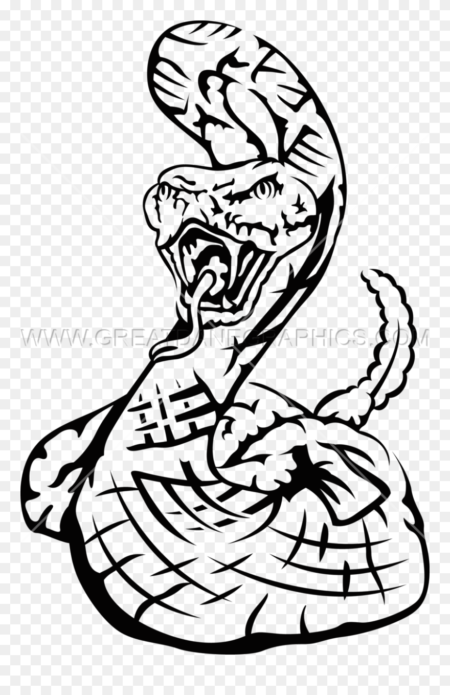Collection Of Free Rattlesnake Drawing Line Download - Line Art Snakes Rattle Clipart