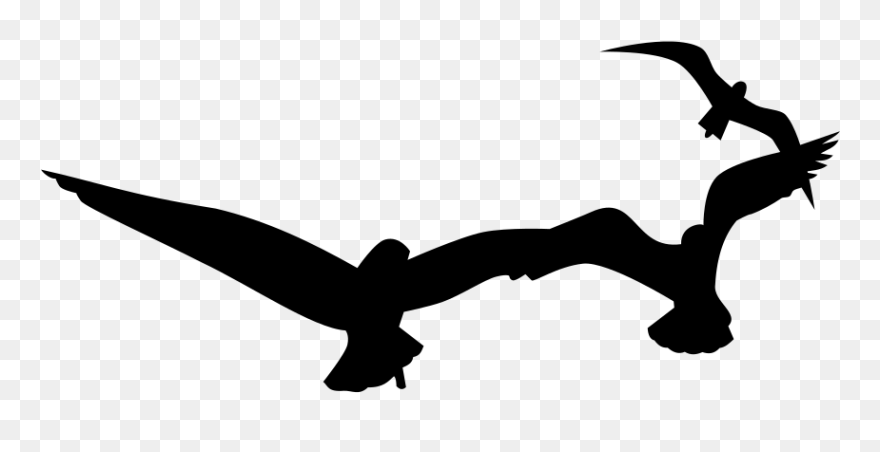 Seagulls Svg Clip Arts - Silhouette - Png Download