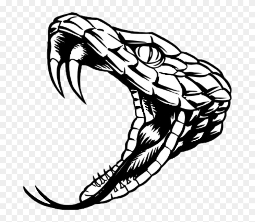 Transparent Snake Head Clipart - Rattlesnake Black And White - Png Download
