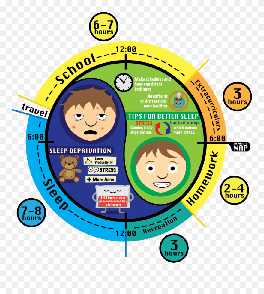 Sleep Study - Circle Clipart