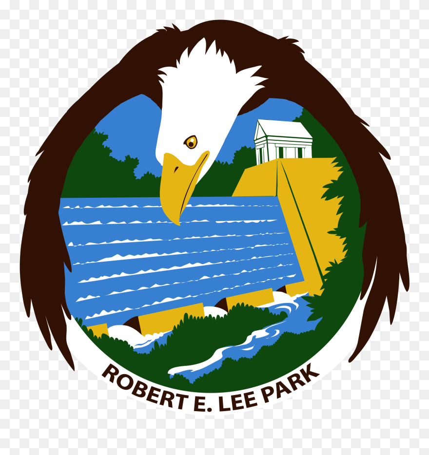 Cricket Crawl Campfire - Illustration Clipart