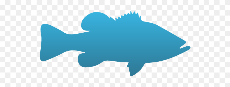 Clip Art - Png Download