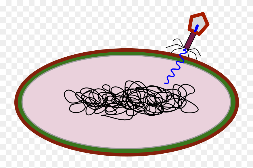 Clip Art - Png Download